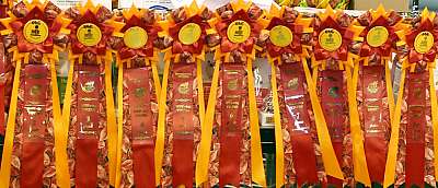 �������� ����� '���-�����-��������' 20-21 �������� 2014 169A1980 copy.jpg